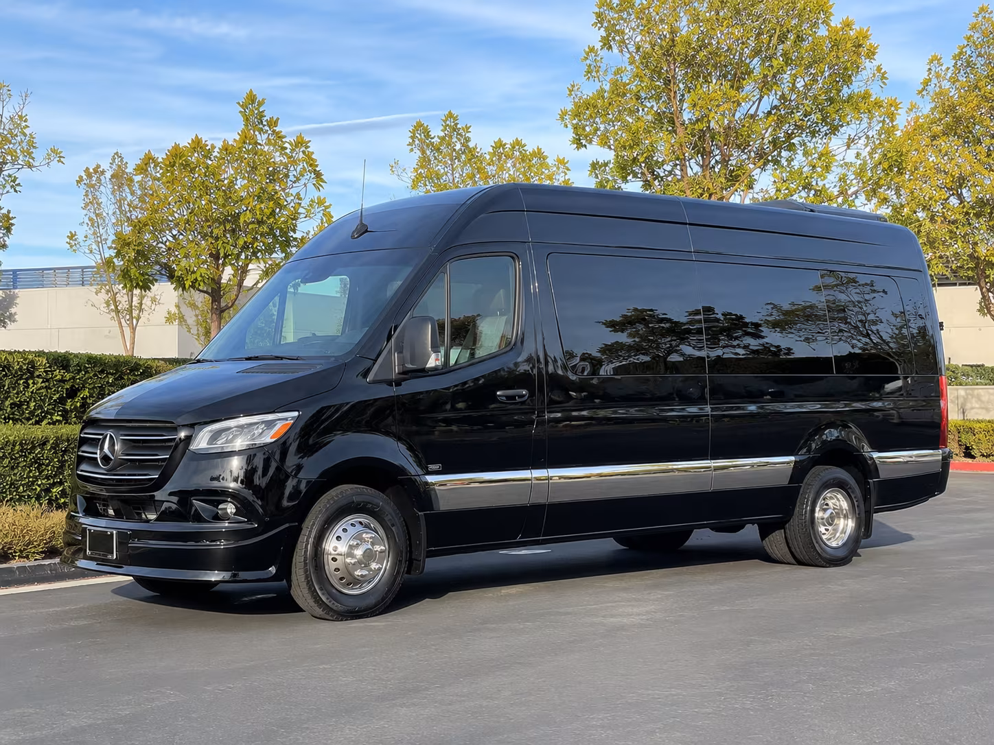 14 Passenger Sprinter Limo