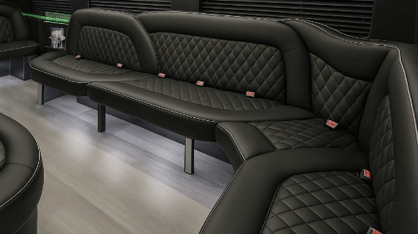 fargo 14 passenger sprinter limousine interior